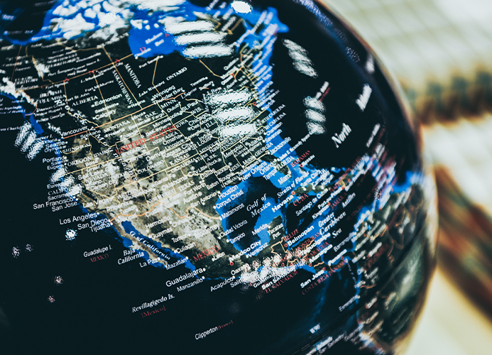 المشاريع العالمية