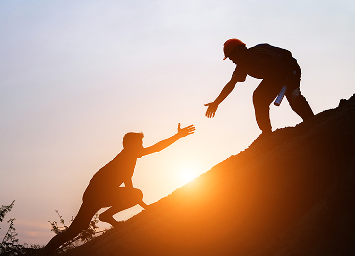 الإرشاد والدعم