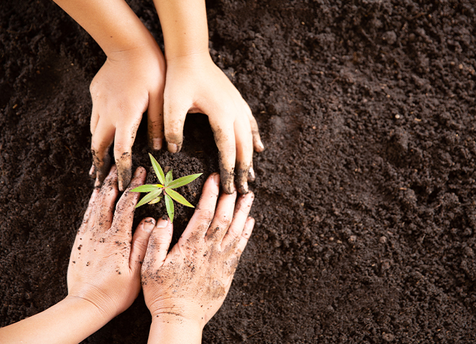 المسؤولية الاجتماعية